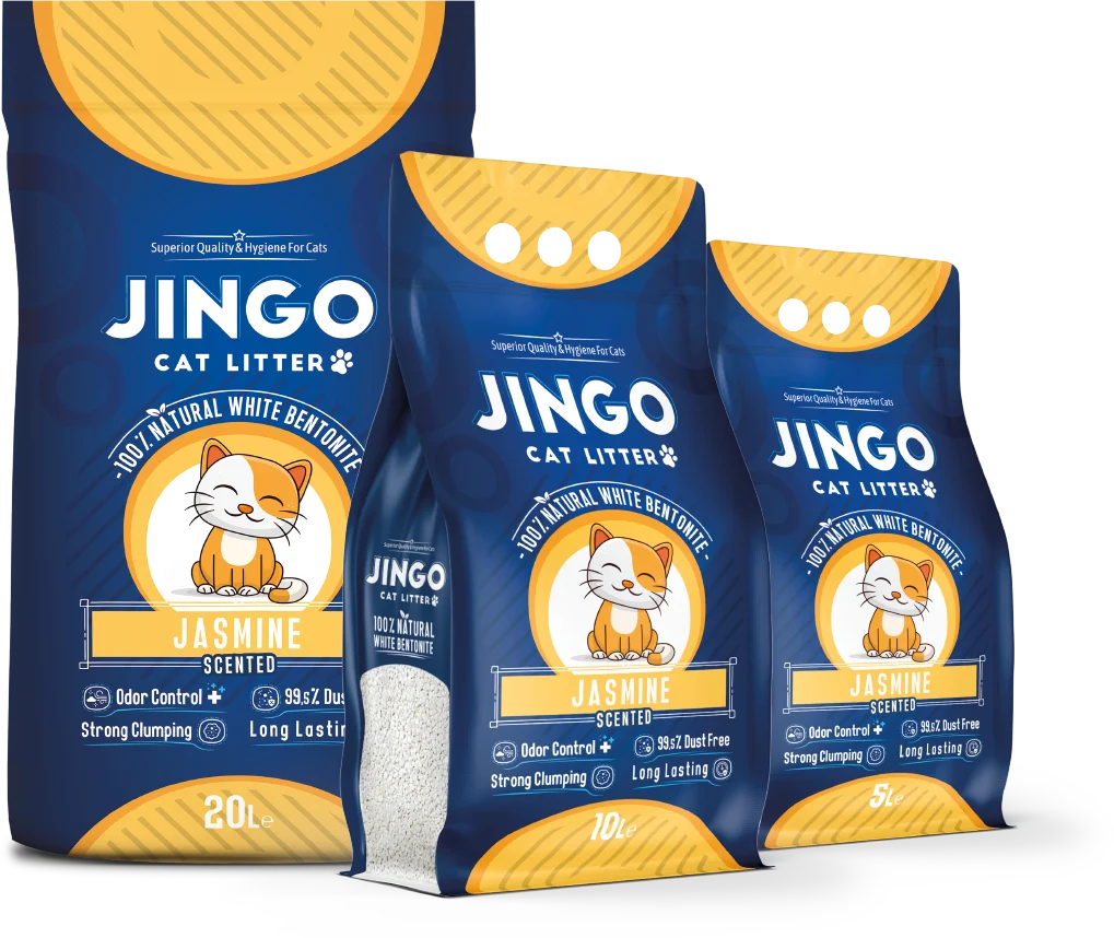 JINGO Jasmine