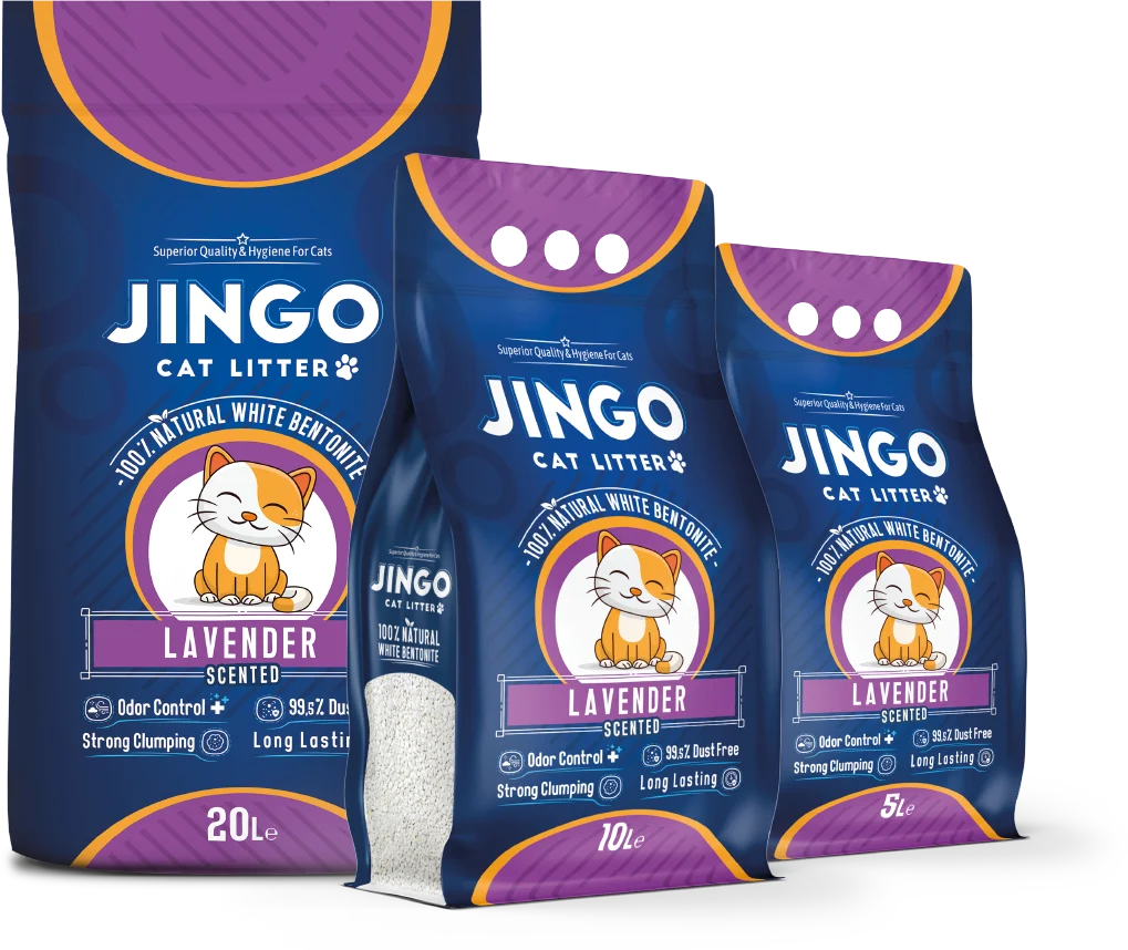 JINGO Lavender
